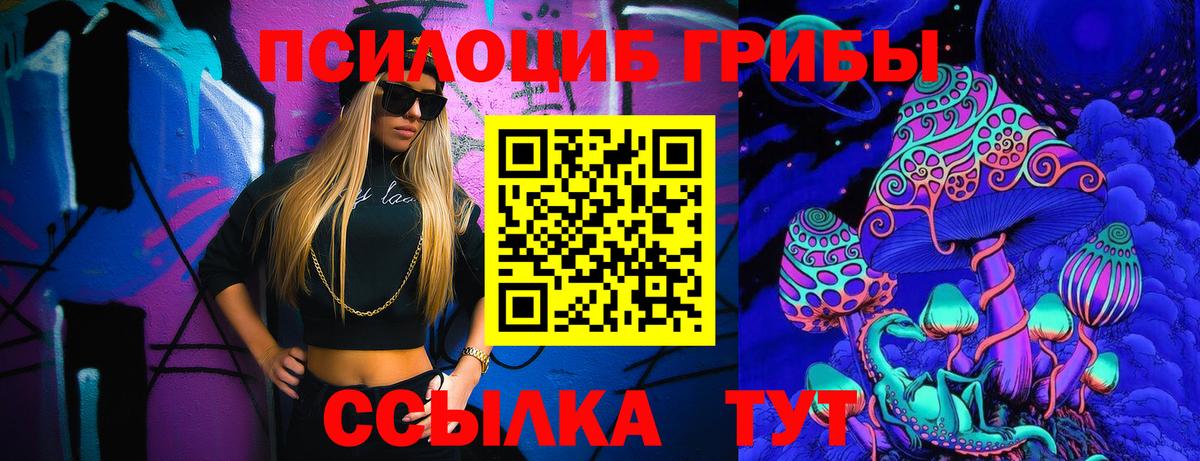 Псилоцибиновые грибы Psilocybine cubensis Киселёвск
